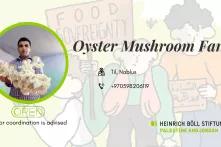Oyster Mushroom Farm 