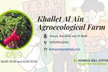 Khallet Al Ain Agroecological Farm 