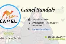 Camel Sandals 