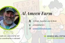 Al Ameen Farms
