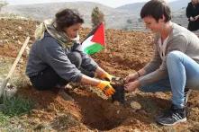 Agroecology and Food Sovereignty in Palestine: A Way To Self-Determination?