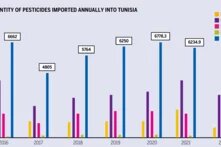 Figure 1: Quantity of Pesticides Imported Annually into Tunisia 