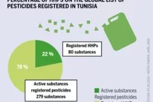 PERCENTAGE OF HHPS ON THE GLOBAL LIST OF PESTICIDES REGISTERED IN TUNISIA