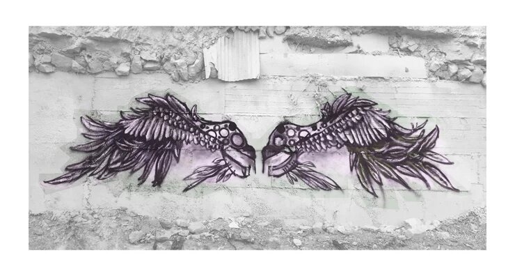 Image 2. The Wings