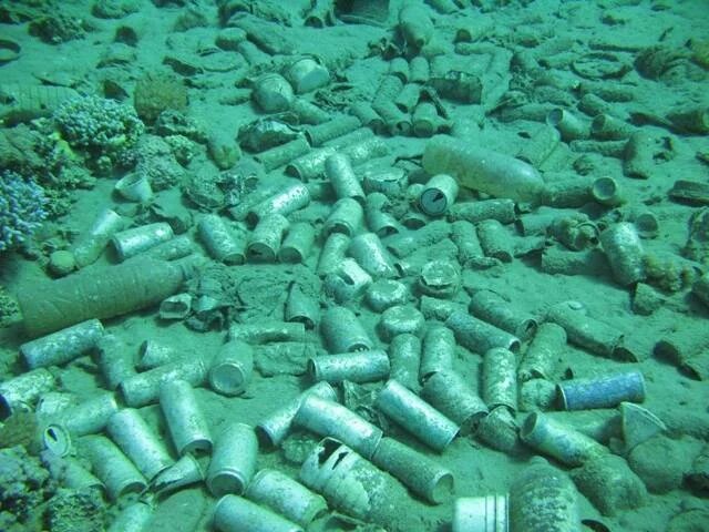 Metal cans on the bottom of the Red Sea