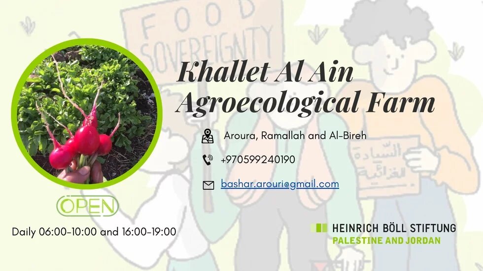 Khallet Al Ain Agroecological Farm 