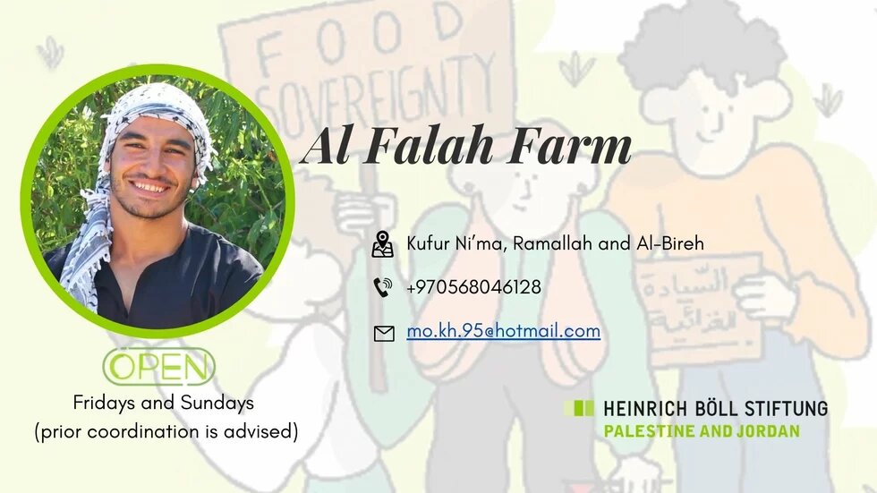 Al Fallah Farm 