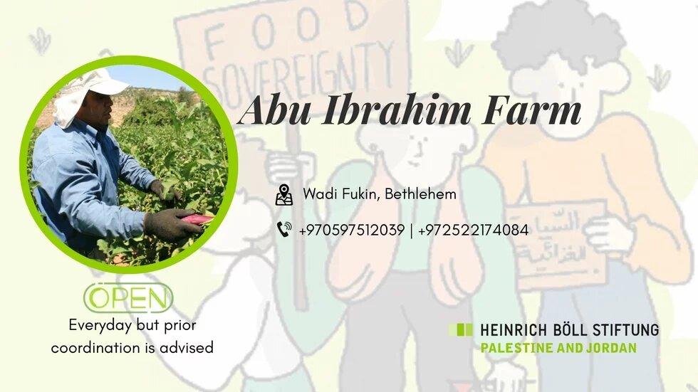 Abu Ibrahim Farm 