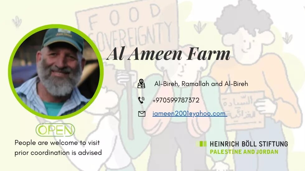 Al Ameen Farms