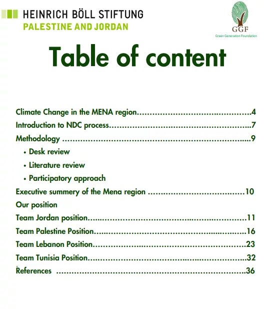 Youth Perspectives on Nationally Determined Contributions (NDCs)
