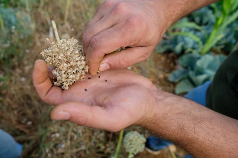 Agroecology: Our Roots of Change