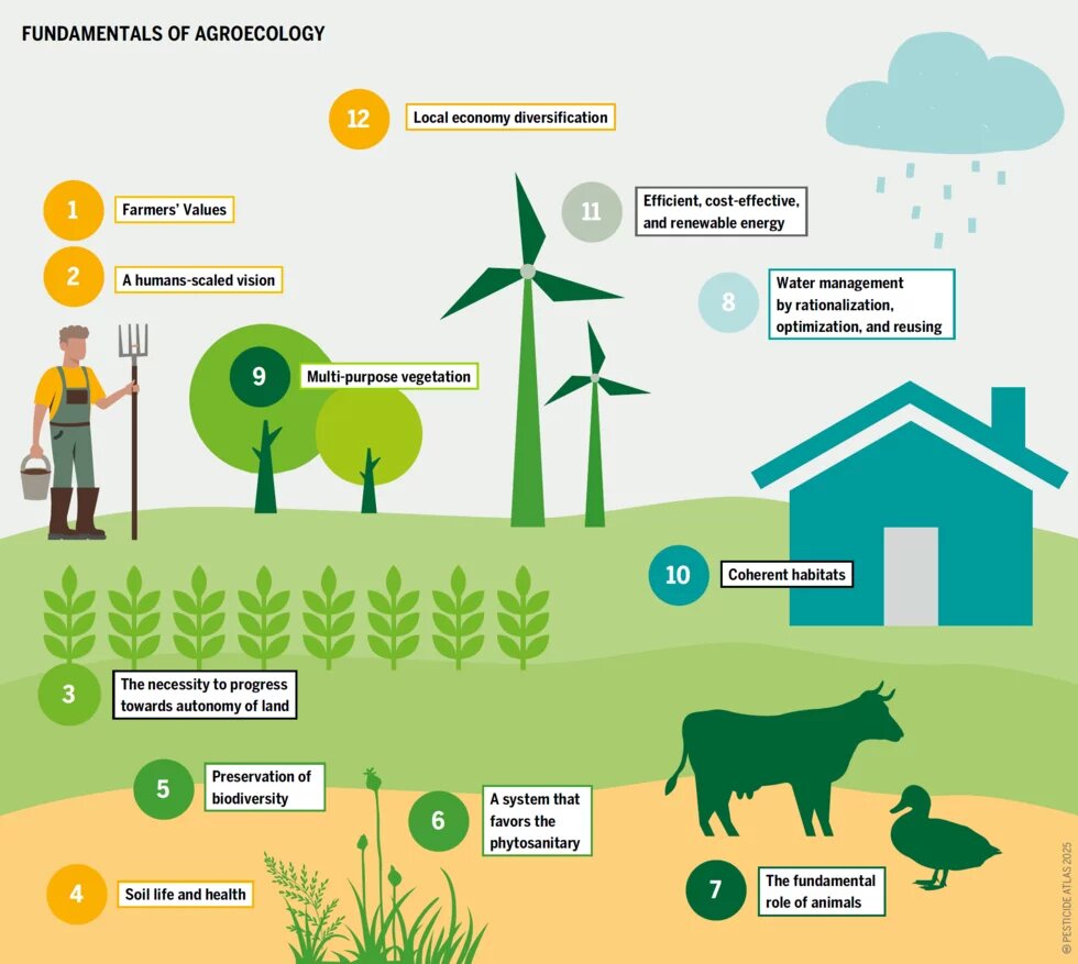 FUNDAMENTALS OF AGROECOLOGY