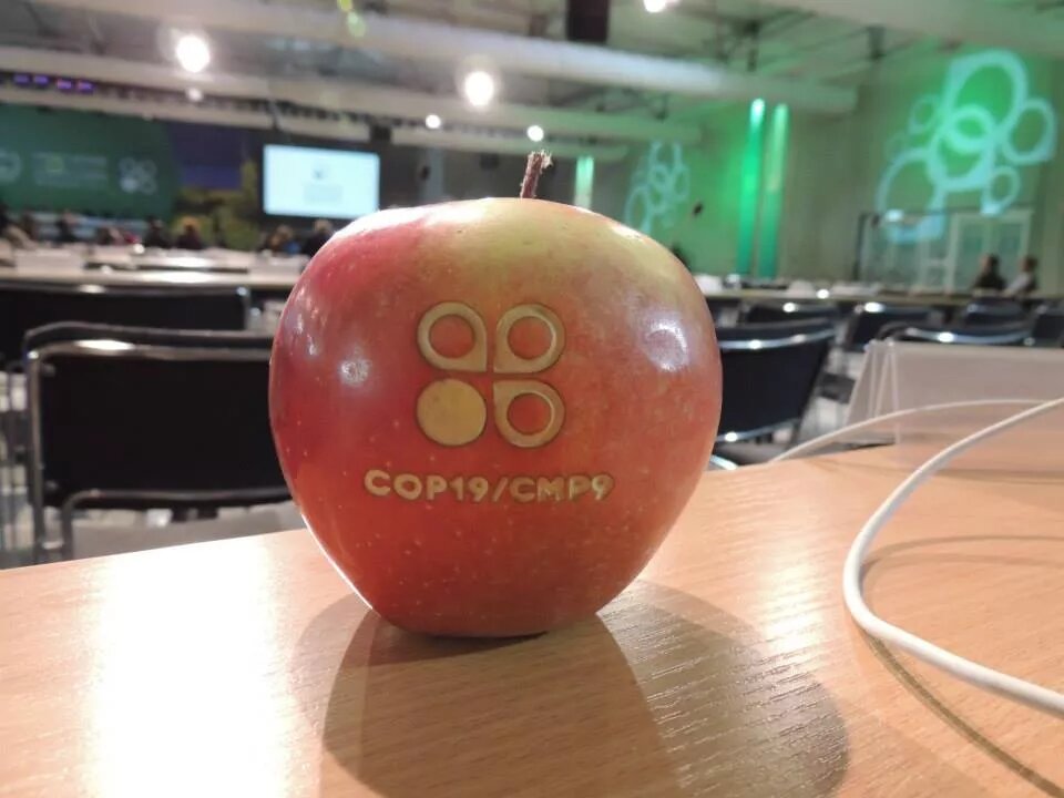 كيف أرى #COP19  ؟ 