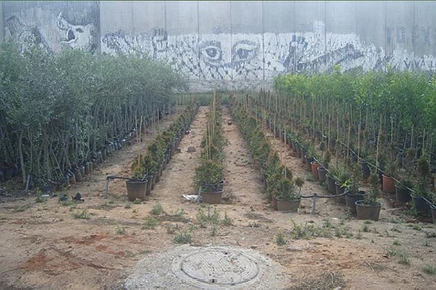 Environmental Injustice Environmental Injustice