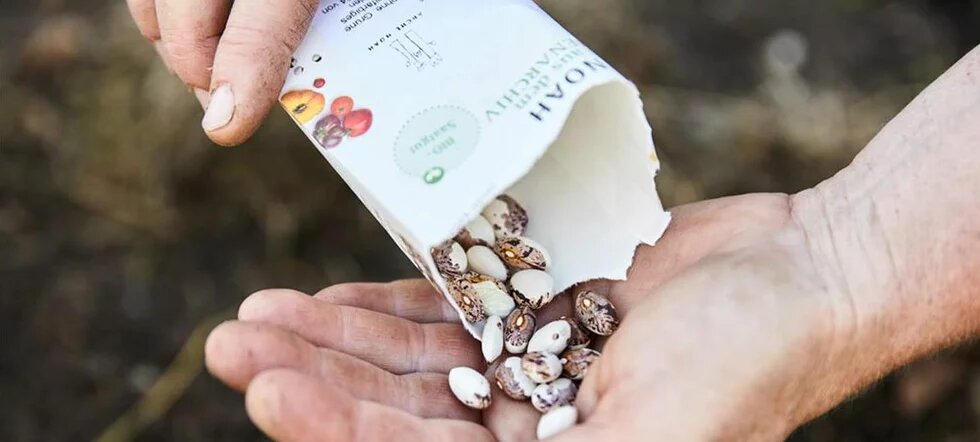 Seeds on a hand