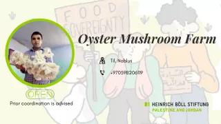 Oyster Mushroom Farm 